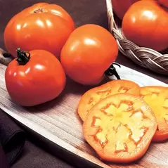 Tomato, Golden Jubilee - 1/4oz