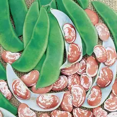 Limas, Jackson Wonder - 1/2lb