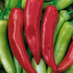 Peppers, Hungarian Hot Wax - 1/2lb