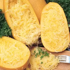 Squash, Vegetable Spaghetti - 1,000 Seed Count