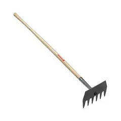 Corona Mcleod Hoe