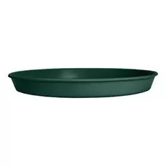 HC 6" Prima Saucer in Evergreen