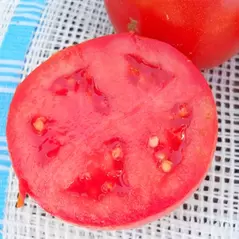 Tomato, Husky Red Hybrid Treated - 100 Seed Count