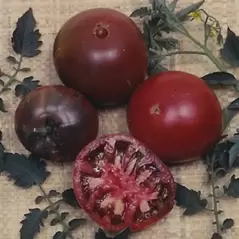 Tomato, Black Krim - 1,000 Seed Count