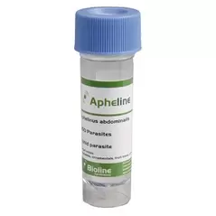 Aphelinus abdominalis 250/vial ( Aphids )