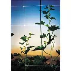 Tenax 48"x250' Plant Trellis Net Hortonova