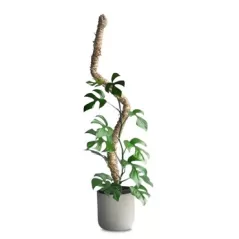Mossify 42" Bendable Moss Pole