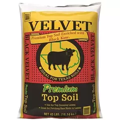 Black Velvet 40