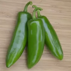 Peppers, Tricked You Treated - 5,000 Seed Count