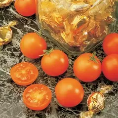 Tomato, Sunsugar - 10,000 Seed Count