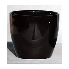 Palm Spring 6.5" Pc Lily Cache GBK