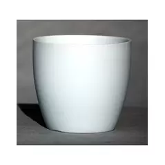 Palm Spring 7.5" Pc Lily Cache MLB
