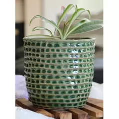 Palm Spring 7.5" Honey Comb Planter Emr