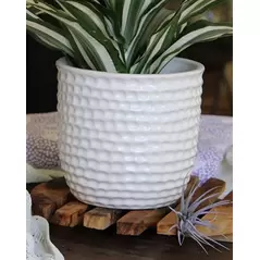 Palm Spring 7.5" Honey Comb Planter Mwh