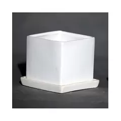 Palm Spring 4.5" Cube Pot with Ds Mwh