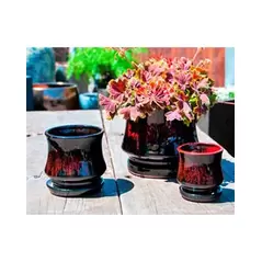 Verandah Lily Pot Size A Rbk