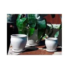 Verandah Butter Cup Size C Wsp