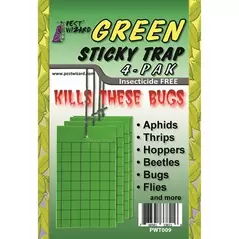 Pest Wizard 4pk Sticky Trap Green