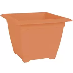 Bloem 15" Dayton Square Box Coral