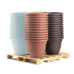 Bloem 48pc 16" Ariana Pastel Color Display