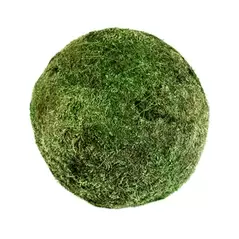 SuperMoss 18" Sheet Moss Ball Fresh Green Bulk