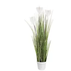 Algreen 51" White Seagrass
