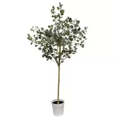Algreen 71" Eucalyptus
