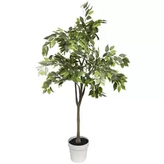 Algreen 53" Ficus Tree