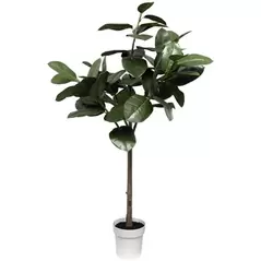Algreen 67" Oak Tree