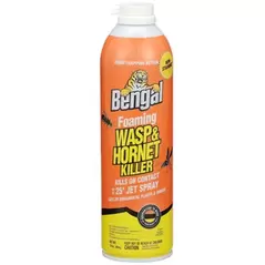 Bengal 16oz Foaming Wasp & Hornet Jet Spray