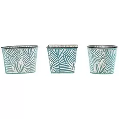 Deer Park 18pc Palmetto Variety Pack