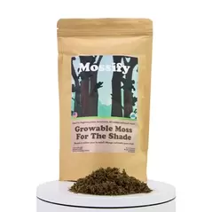 Mossify Shade Growable Moss