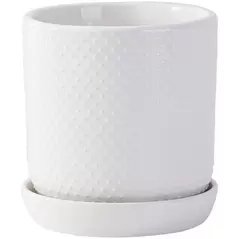 PHG 9"x9.5" Dotted Cylinder Planter Bright White 4/CS