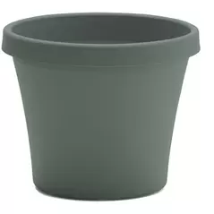 Bloem 6" Terra Planter Basil