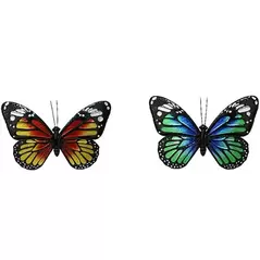 VCS 19" Brilliant Butterflies