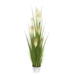 Algreen 48" Short Reed Grass