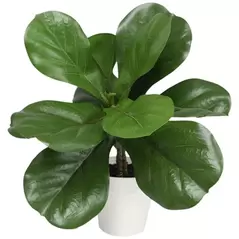 Algreen 16" Potted Ficus 13 Leaf