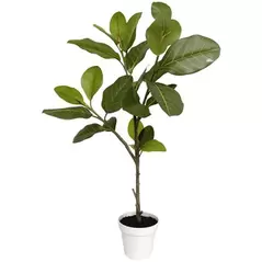 Algreen 38" Alpine Ficus