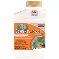 Captain Jacks Pt Liquid Copper Concentrate