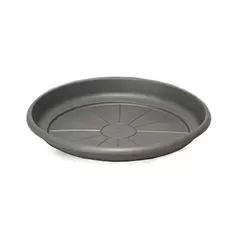 Crescent 7" Emma Saucer Charcoal