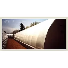 GRTK 4YR 6M IRAC MAX 20X150 TUBE