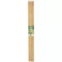 Gardener's Blue Ribbon 6pk 3'x1/2" Wood Stake