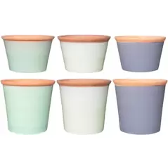 MCarr 105pc Planter Pallet Unglaze Rim Mixed Colors