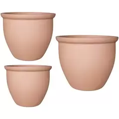 MCarr 3pc Bay Planter Pallet Terrabetta