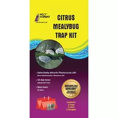 Pest Wizard 2pk Citrus Mealybug Kit