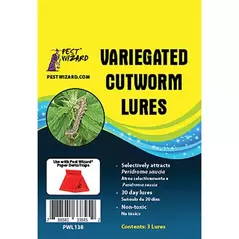 Pest Wizard 3pk Variegated Cutworm Lure