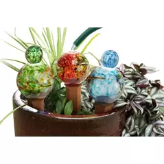 E-V 12pc Globe Plant Quencher Display Assortment