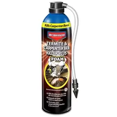 BioAdvanced 18oz Termite & Carpenter Bee Kill Foam (Keywords: Bayer )