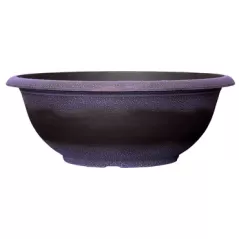 Grower Select 17.00 Sugar Sand Bowl Wisteria 3.3gal 50/CS - 16.9in OD X 6.3in H X 8.5in BD