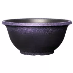 Grower Select 12.00 Sugar Sand Bowl Wisteria 1.6gal 51/CS - 12in OD X 5.5in H X 5.8in BD